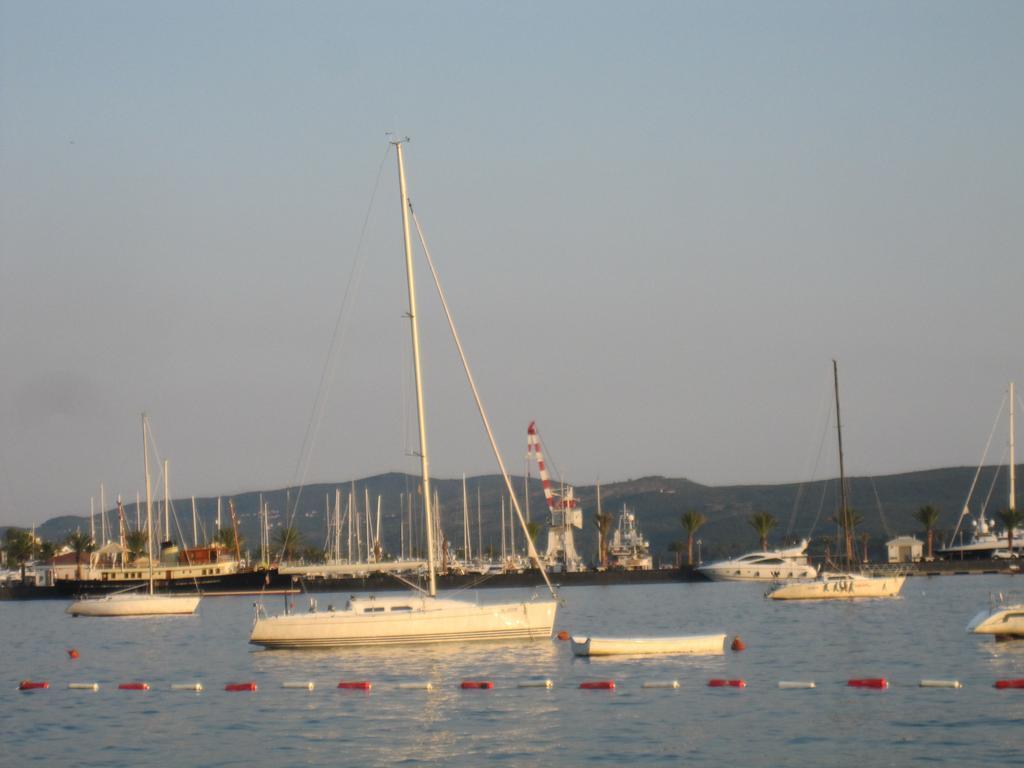 Apartments Delfin Tivat Exteriör bild